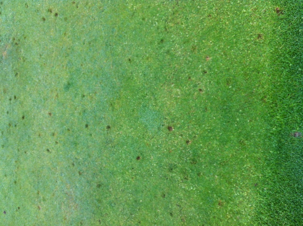 Green de Val Grand suite giboulée de grèle