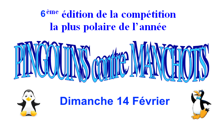 pingouins&manchots2016